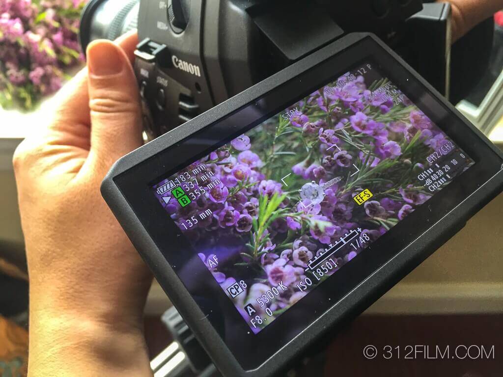 A person holding a camera with flowers on the screen