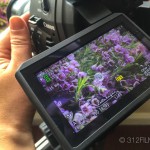 A person holding a camera with flowers on the screen