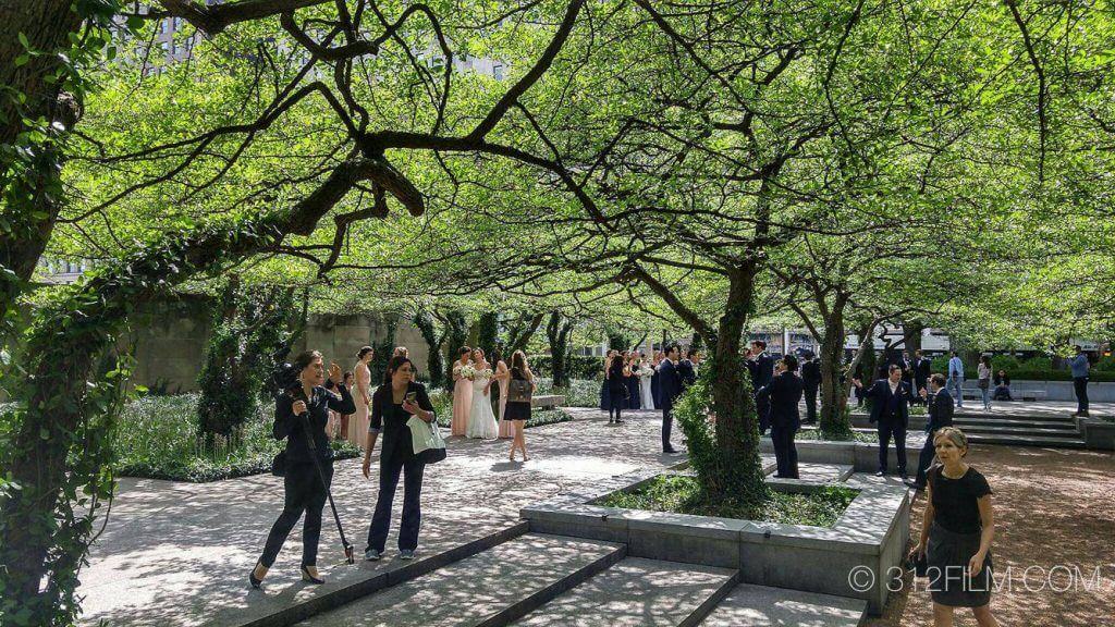 The bridal party is taking pictures in the South Garden at the Art Institute of Chicago.