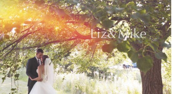 Loews Chicago Wedding Video