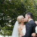 Chicago Botanic Garden Wedding Video