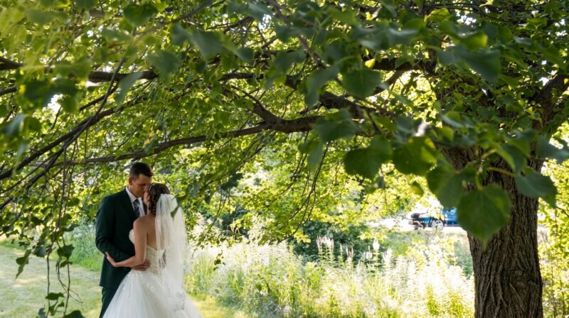 The bride and groom kiss under a tree after the ceremony at St Mary's Church in Buffalo Grove.
