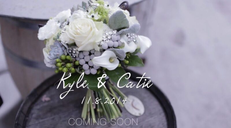 Tieless family wedding teaser video | 312FILM.COM